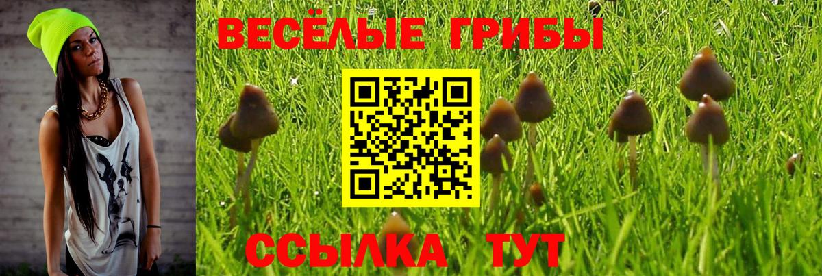 Воркута  Псилоцибиновые грибы мицелий  Вход с VPN 